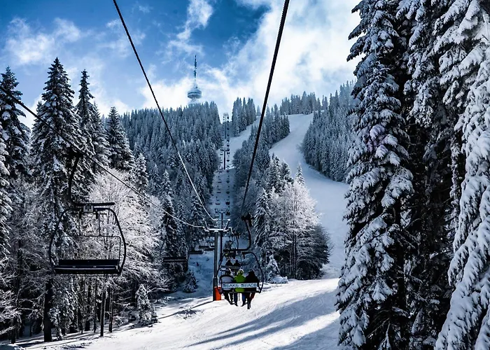 Avelov Art * Pamporovo